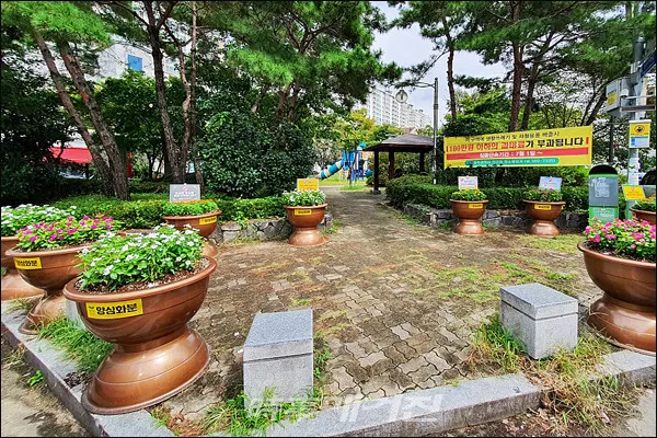 양심화분 설치후(사진_광주 서구제공)