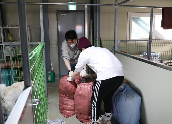 ((주)비엠스마일 직원들이 안성 평강공주 보호소 유기견 보호동에서 봉사활동을 진행하고 있다)