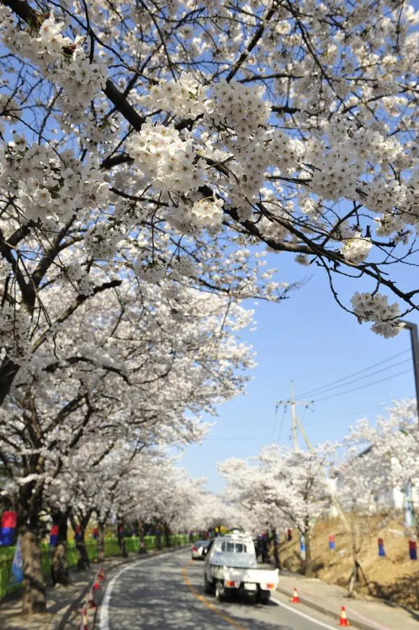 ▲ 출처 : 제천시
