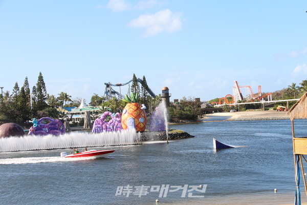 호주 골드코스트 씨월드