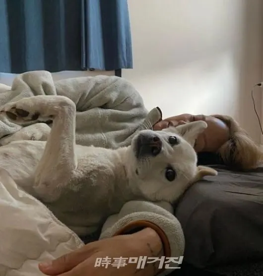 이상순 인스타그램