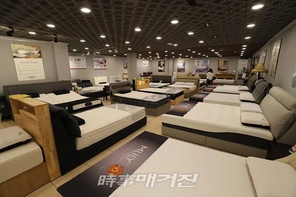 (사진_밀리&마이스터소파)