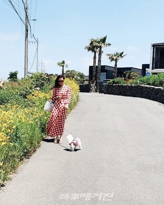 배우 손예진 (손예진 인스타)