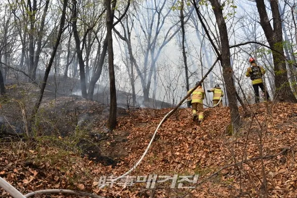 [사진_도봉소방서 제공]