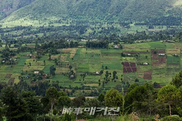스위스 제네바에서 열린 정부 간 협의체(IPCC) 제 50회 총회에서 8일 (현지시간) 발표된 ‘기후 변화 및 토지에 관한 특별 보고서’를 발표하며 전 세계의 기후학자들은 한 목소리로 인류의 토지 사용과 식량생산 방식을 획기적으로 전환해야 한다고 경고했다. 사진은 케냐 나이바샤 호수 인근의 한 농경지 모습. (사진_세계자연기금 WWF)