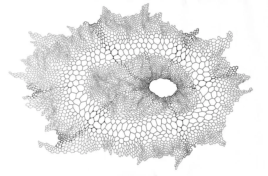 추지영, 소중한 이야기, pen on paper, 98x67cm, 2020
