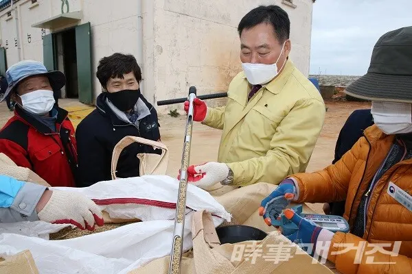 공공 비축미 수매현장을 점검하는 김 산 무안군수(중앙)/사진=무안군청 제공