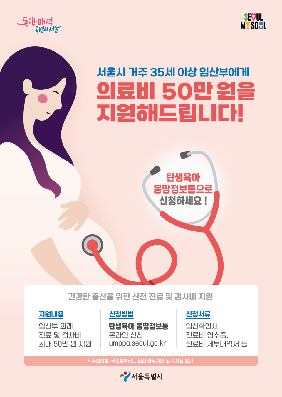 임산부 의료비 지원 포스터.(사진_서울시)