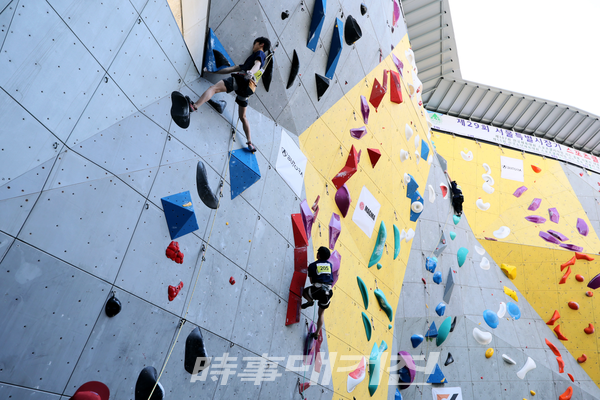 제29회 서울시장기 스포츠클라이밍대회 경기 사진 (사진_서울시체육회 제공)