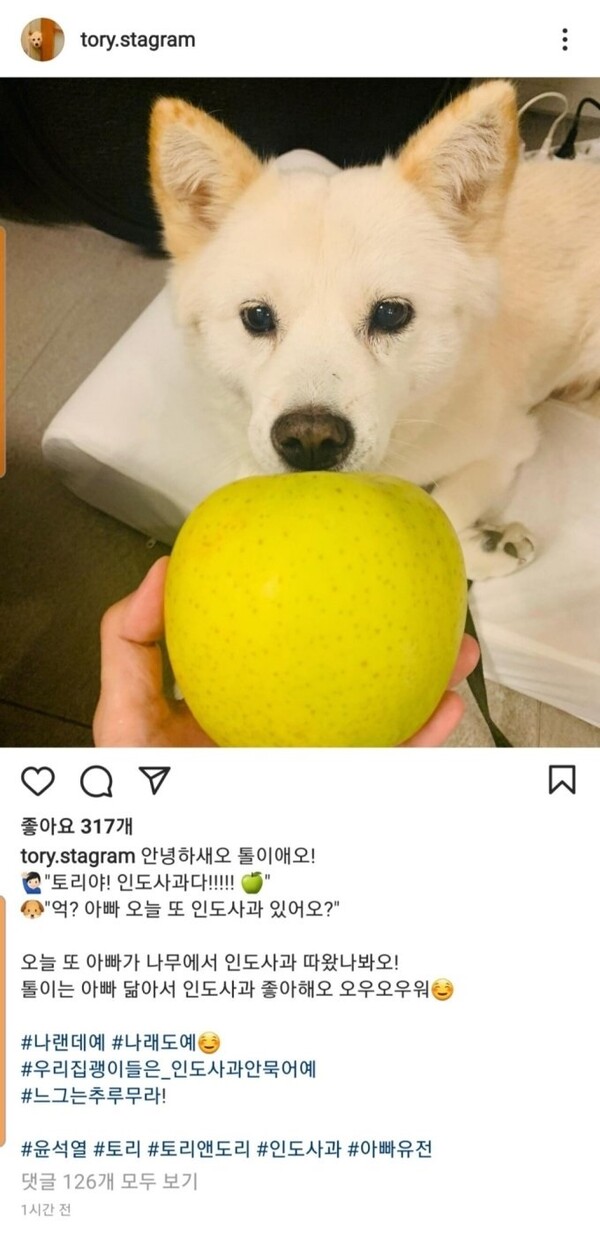 윤석열 사과 개 사진 (사진-토리 인스타그램)