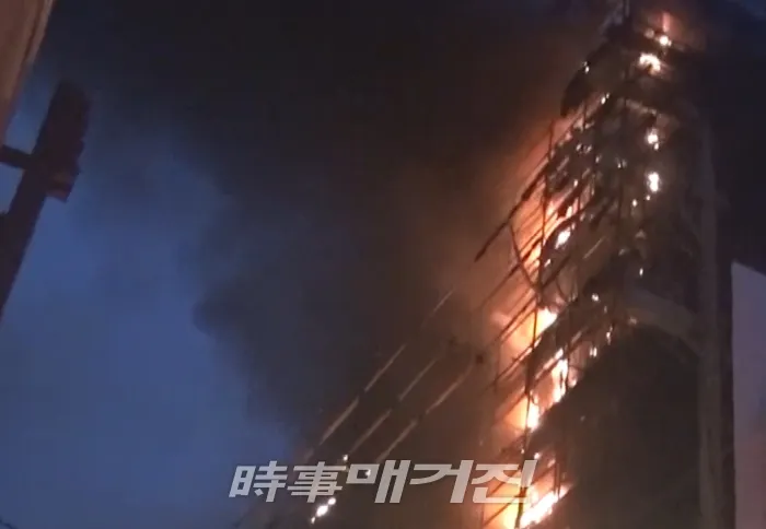자료제공=강남소방서