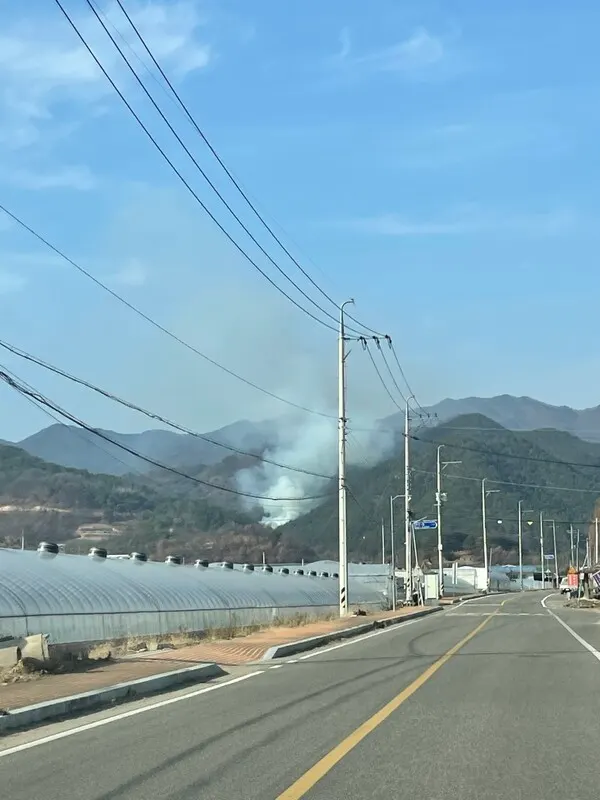 경북 성주 산불발생... 24분만에 진화 완료