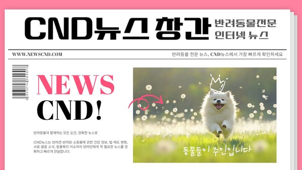 (사진_CND뉴스 제공)