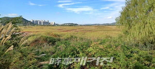 농경지를 벗어나 호조벌(관곡지)와 월곶을 잇는 가운데 지점인 장곡동 일대에 ‘시흥갯골생태공원’을 조성하고 갯골 생태를 보존하는 정도에 머무르고 있다. 과거에는 이곳에서 염전 외에 바닷물과 민물에서 교차해 서식하는 각종 물고기와 게를 잡을 수 있었다.