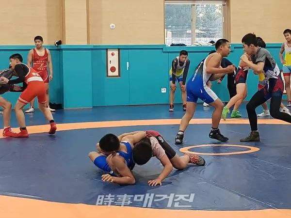 (사진_함평군청 제공)