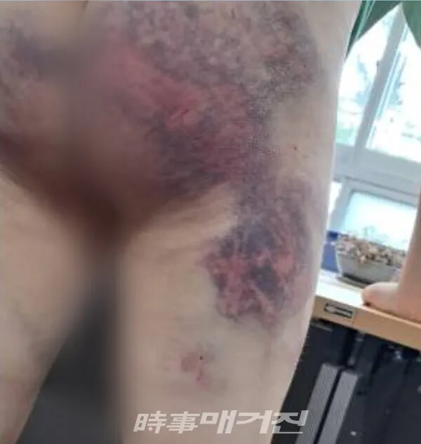(사진_제보자 제공)