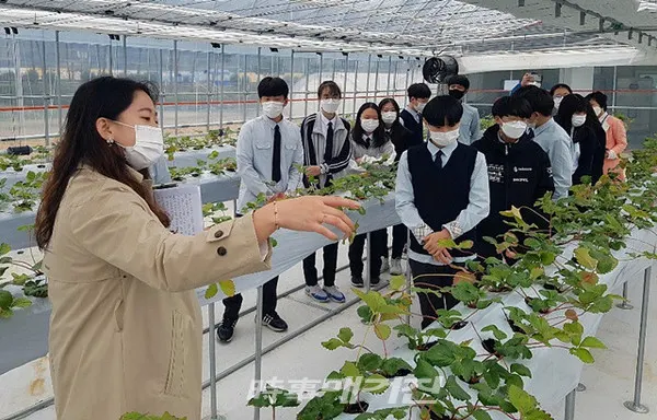 곡성군농업기술센터가 자유학기제 진로직업 체험학습장으로 운영되면서 지난 21일 석곡중학교 학생 및 관계자 등 20명이 참여한 가운데 농촌지도공무원에 대한 진로 소개와 주요업무, 시설 등을 안내해 참석자들로부터 큰 호응을 얻었다.(사진_곡성군청)