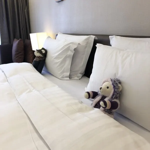 곰돌이