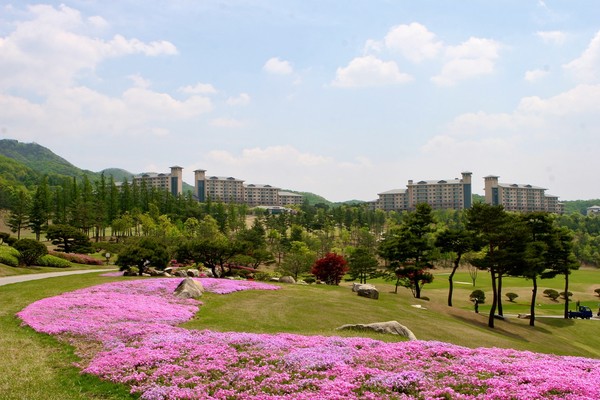 [오크밸리]스프링 바운스 봄 이벤트 진행
