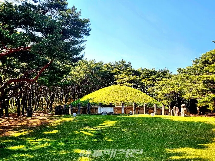 경주시 안강읍에 위치한 신라 42대 흥덕왕릉.(사진_조용우 칼럼니스트)