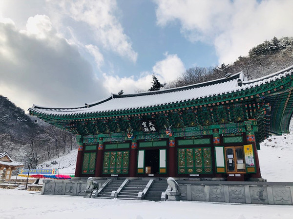 이 사진은 눈이 귀했던 지난 2019년 겨울, 국립공원관리공단 내장산사무소 유종섭 과장이 기자에게 보내준 사진이다.