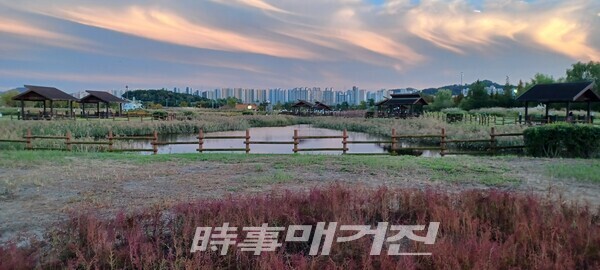 갯골생태공원(사진_안나겸 기자)
