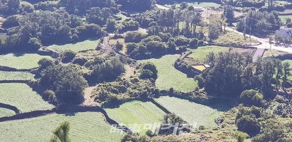 밭담길에 한반도 지도가~