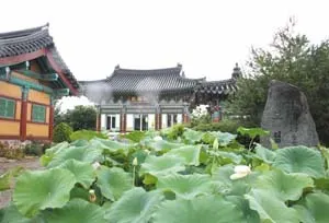 ▲ 앞 뜰에 연꽃이 가득한 함양 보림사