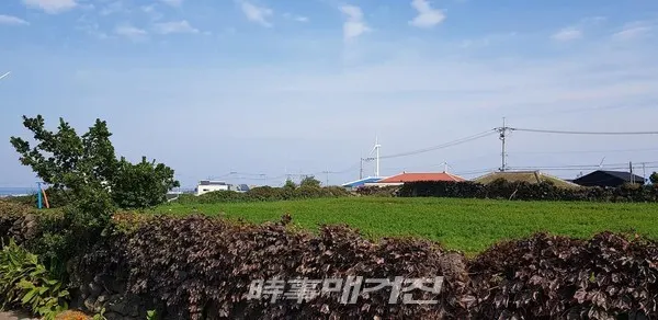 당근밭 너머 마을