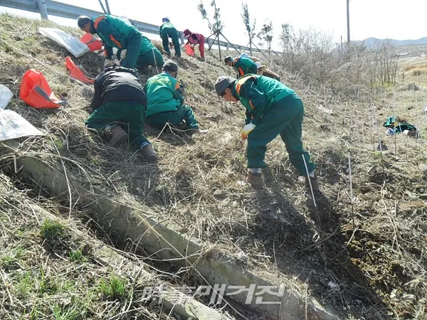 공공산림 가꾸기 사업(사진_고흥군청 제공)