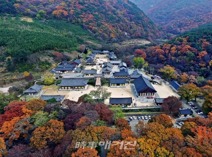 표충사의 모습