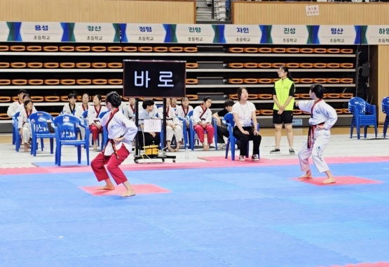 제19회 경산교육지원청 교육장배 태권도대회 품새 경기 모습.  (사진_경산시태권도협회)