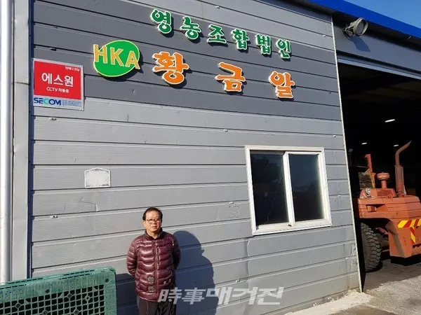 현재 최 대표가 운영하는 황금알 영농조합법인은 수십여 개의 농협 및 감협공판장에 납품을 하고 있음은 물론, 2019년도 올해에는 싱가포르에 10톤을 수출하기도 했다. 하루 출하량은 30~40톤이고 연간 400톤 이상을 출하하고 있고 연매출 100억 원대를 기록하고 있다.