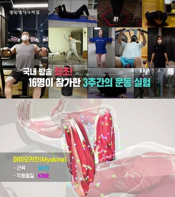 사진=KBS '생로병사의 비밀'