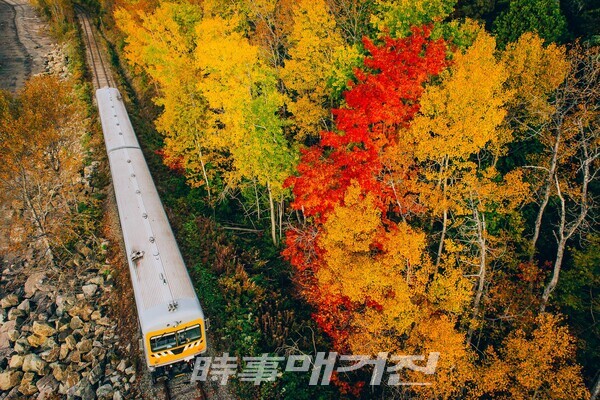 샤를부아기차(사진_캐나다관광청/제공_하나투어)