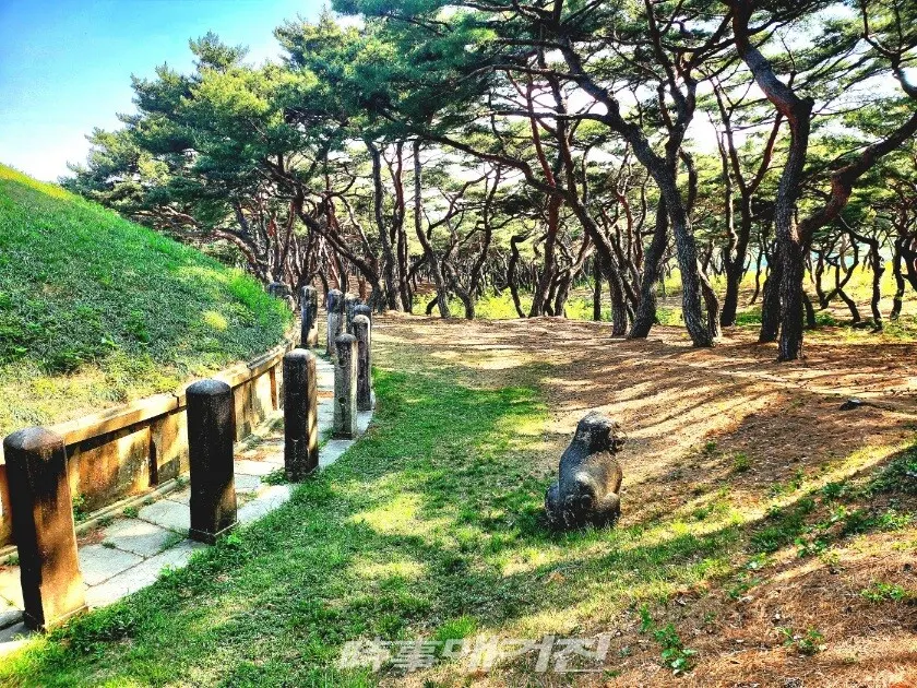 동서남북 사방을 방위하고 있는 돌사자(사진 조용우 칼럼니스트)