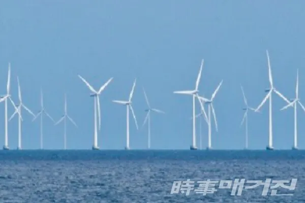 신안 임자도 해상풍력 단지/사진=네이버 이미지