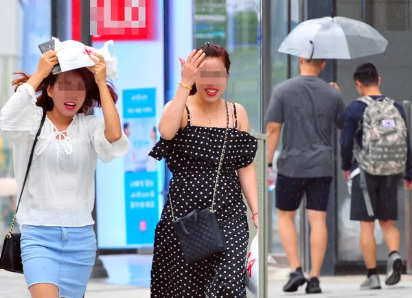 봄비스케치, 비스케치, 여름, 장마기간, 날씨스케치 (시사매거진DB)