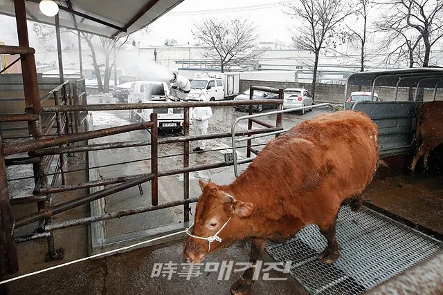 (사진_북구청 제공)