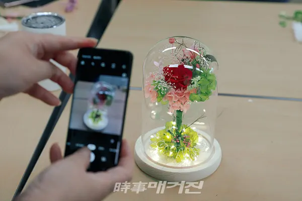 ‘프리저브드 플라워(preserved flower)’를 직역하면 ‘보존된 꽃’이라고 해석할 수 있다. 일반 생화를 약품처리해 4계절 시들지 않도록 만든 것이다. 조화에서는 느낄 수 없는 생화의 아름다움을 오랜 기간 감상할 수 있기 때문에 인기를 끌고 있다. (사진_곡성군청)