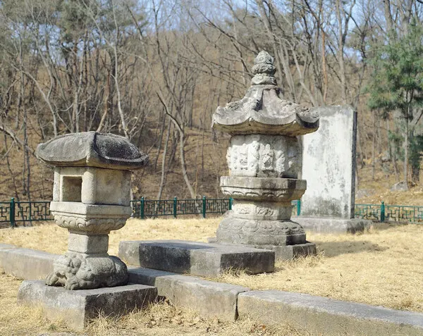 충주 청룡사지 보각국사탑 (忠州 靑龍寺址 普覺國師塔)