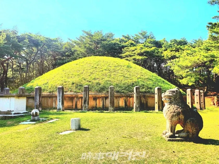 경주시 안강읍에 위치한 신라 42대 흥덕왕릉.(사진_ 조용우 칼럼니스트)