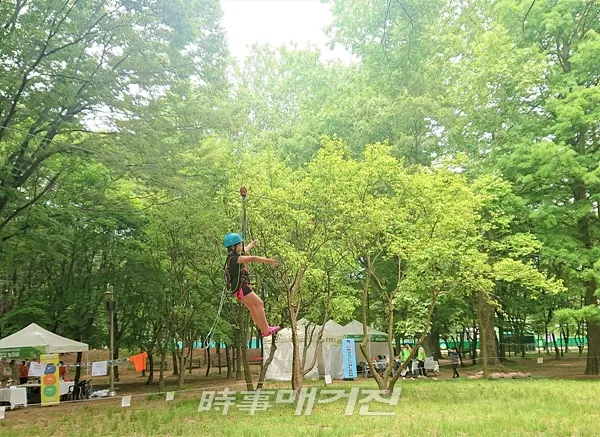 '짚라인 체험' (사진_산림청)