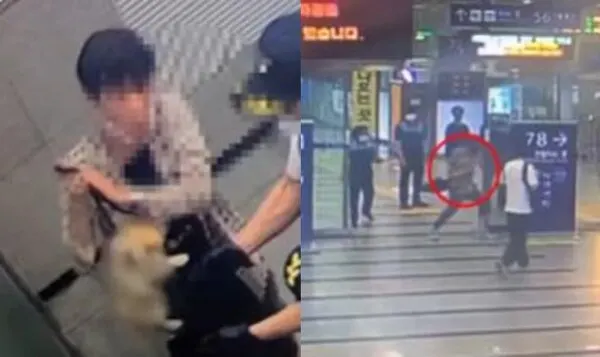 평택 강아지 학대 / 사진=동물권단체 케어