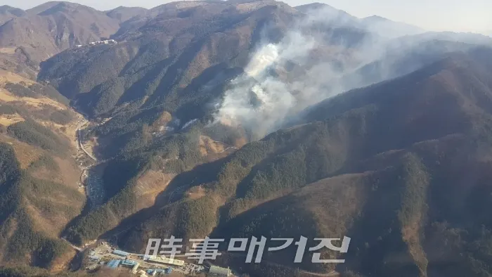 공중에서 바라본 삼척 황조리 산불 현장