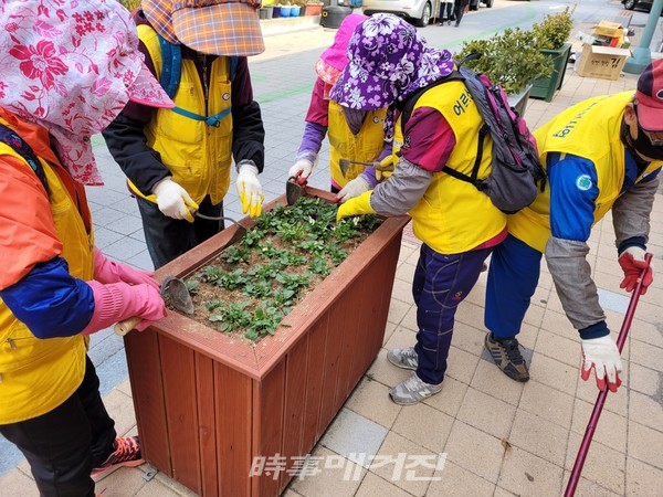 노인일자리 어르신들이 농업기술센터에서 직접 기른 꽃을 정성껏 심고있다.
