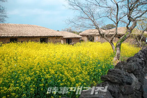 제주 성읍민속마을