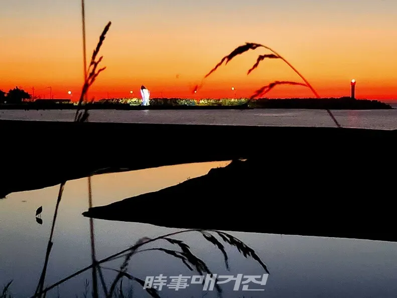 아침 노을 붉게 물든 바닷가의 백로 한 마리.(사진_조용우)