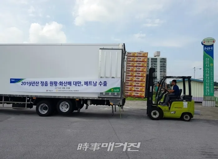 ‘정읍배’ 150톤 대만 등 수출길 올라(사진_정읍시)