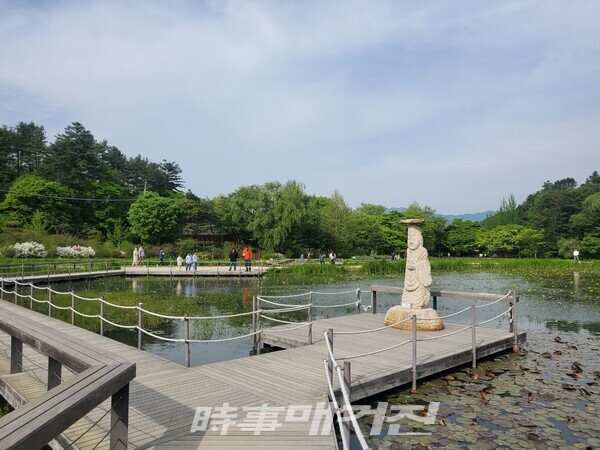 봉선사 연꽃 연못(사진_안나겸 기자)